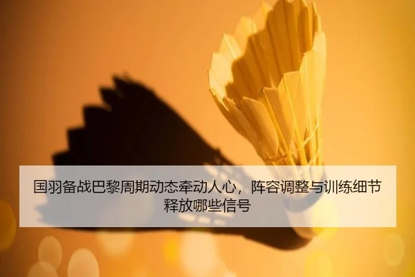 国羽备战巴黎周期动态牵动人心，阵容调整与训练细节释放哪些信号 - Sina Sports